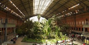 imagen de Jardín tropical de la Estación de Atocha, Madrid