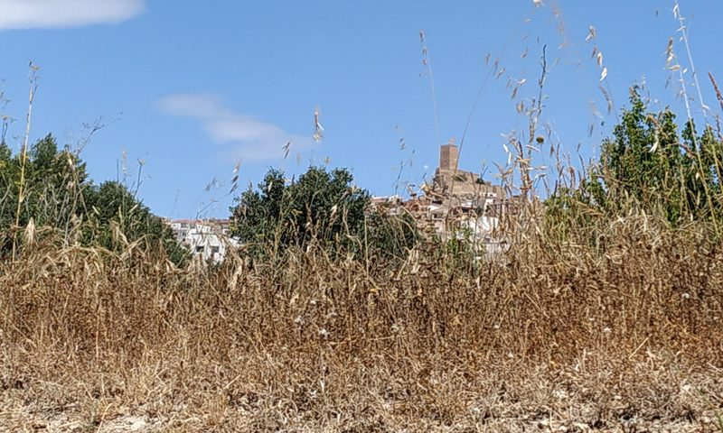 Vista del Castillo de Banyeres de Mariola