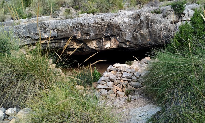 Cueva del Cochino, Villena