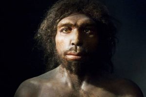 Paleolítico Inferior: Homo Antecessor