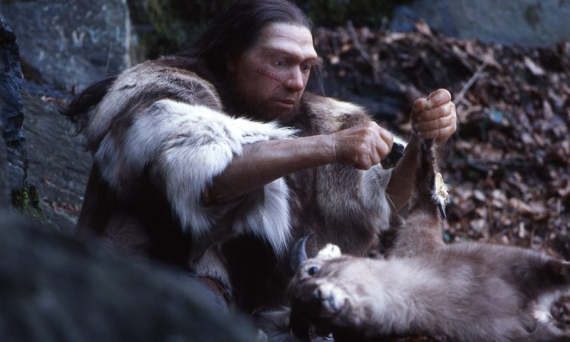 Neanderthal preparando la cena