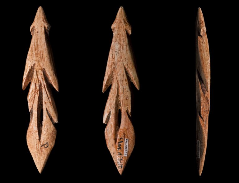 Arpones azilienseses