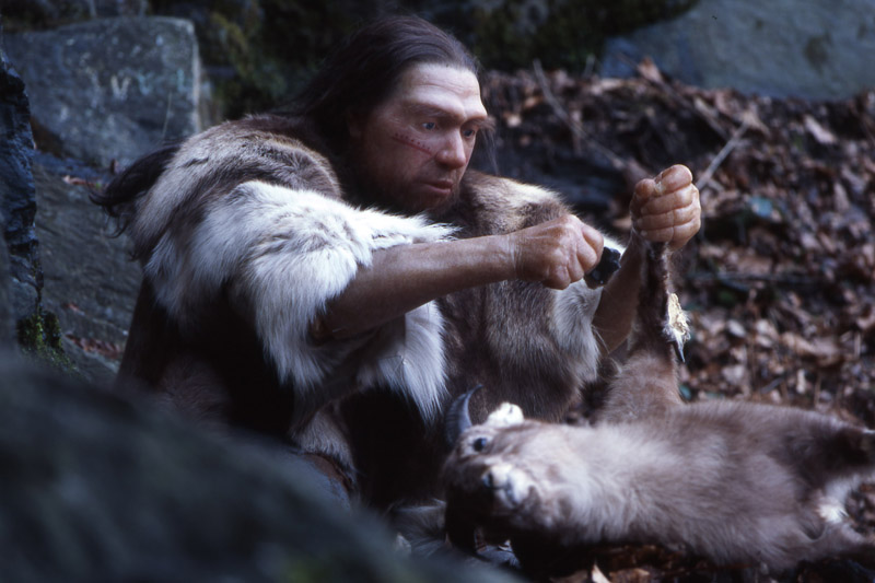 Neanderthal preparando la cena